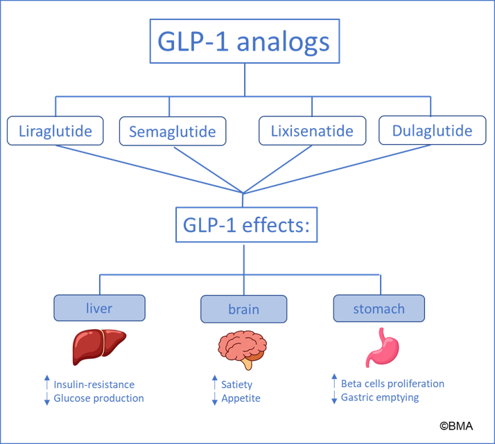 GLP-1-analogs.png
