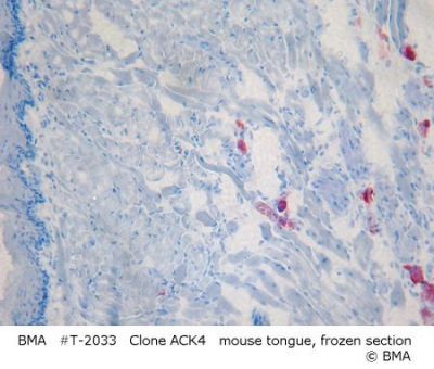 hp_t-2033_003_ack4_mouse_tongue_frozen_017.jpg