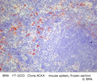 hpt-2033_006_ack4_spleen_mouse_frozen_.jpg